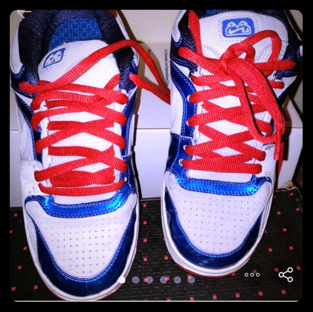 Nike 6.0 skater shoes 7.5